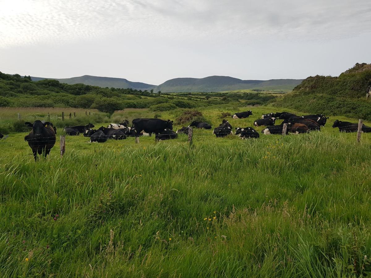 Traditional Irish Farmhouse Anascaul Zewnętrze zdjęcie